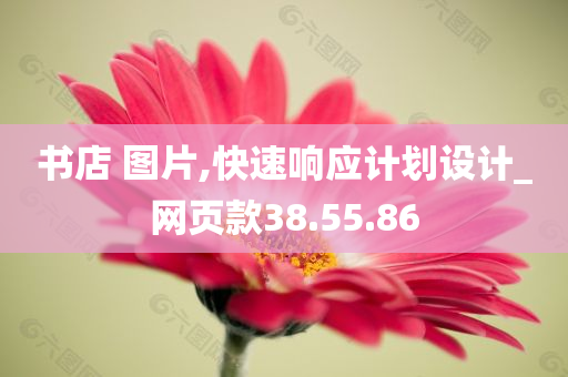 书店 图片,快速响应计划设计_网页款38.55.86