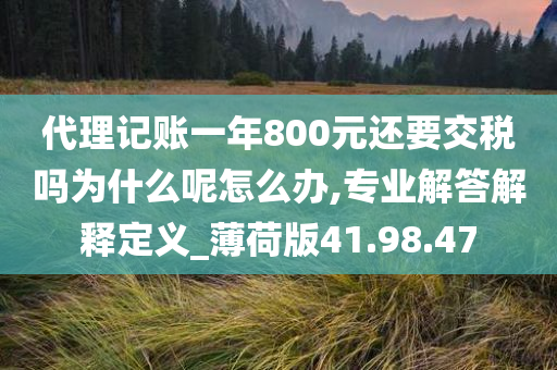 代理记账一年800元还要交税吗为什么呢怎么办,专业解答解释定义_薄荷版41.98.47