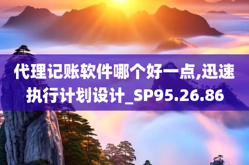 代理记账软件哪个好一点,迅速执行计划设计_SP95.26.86