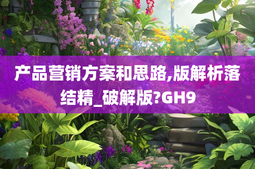 产品营销方案和思路,版解析落结精_破解版?GH9