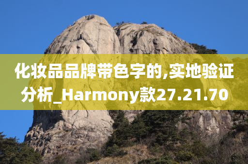 化妆品品牌带色字的,实地验证分析_Harmony款27.21.70