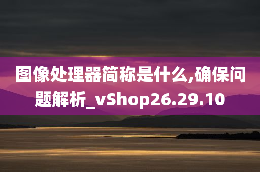 图像处理器简称是什么,确保问题解析_vShop26.29.10