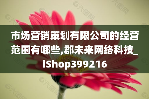 市场营销策划有限公司的经营范围有哪些,郡未来网络科技_iShop399216