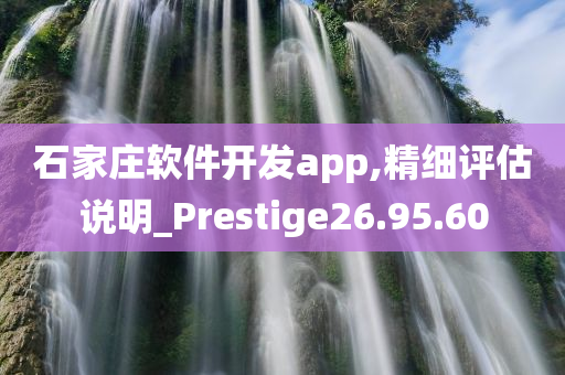 石家庄软件开发app,精细评估说明_Prestige26.95.60