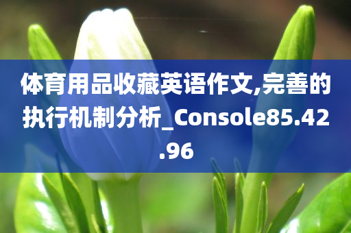 体育用品收藏英语作文,完善的执行机制分析_Console85.42.96