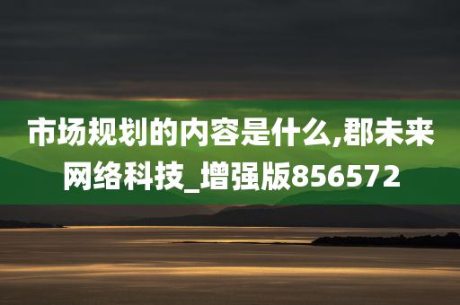 市场规划的内容是什么,郡未来网络科技_增强版856572