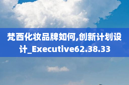 梵西化妆品牌如何,创新计划设计_Executive62.38.33