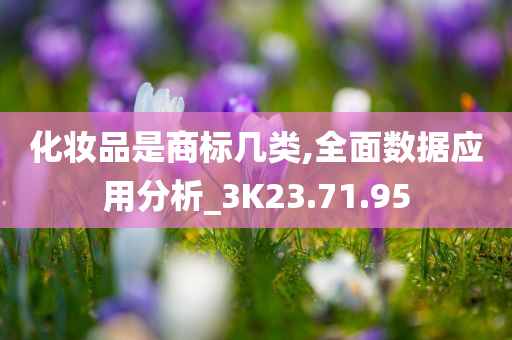 化妆品是商标几类,全面数据应用分析_3K23.71.95