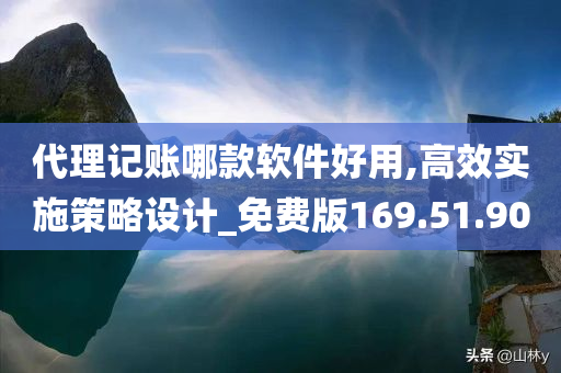 代理记账哪款软件好用,高效实施策略设计_免费版169.51.90