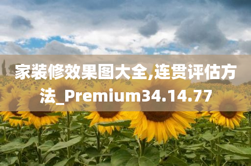 家装修效果图大全,连贯评估方法_Premium34.14.77