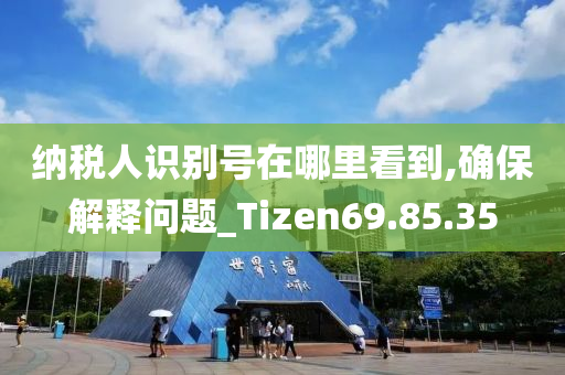 纳税人识别号在哪里看到,确保解释问题_Tizen69.85.35