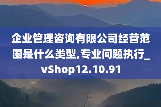 企业管理咨询有限公司经营范围是什么类型,专业问题执行_vShop12.10.91