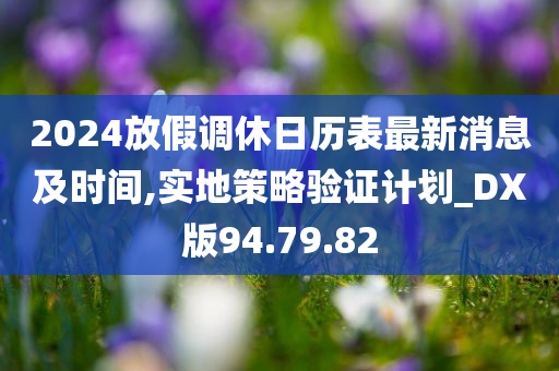 2024放假调休日历表最新消息及时间,实地策略验证计划_DX版94.79.82