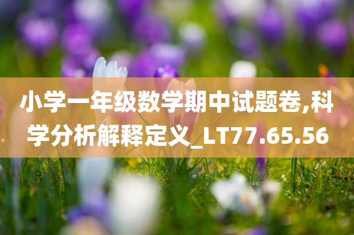 小学一年级数学期中试题卷,科学分析解释定义_LT77.65.56