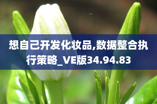 想自己开发化妆品,数据整合执行策略_VE版34.94.83