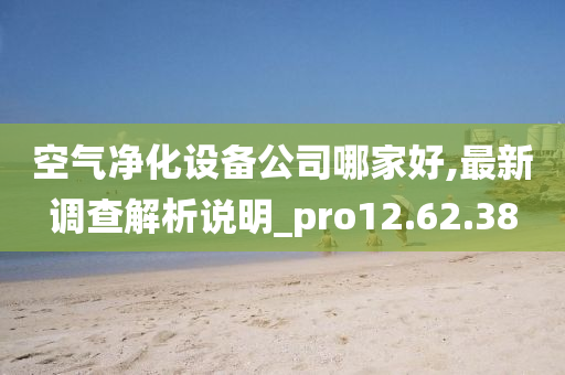 空气净化设备公司哪家好,最新调查解析说明_pro12.62.38