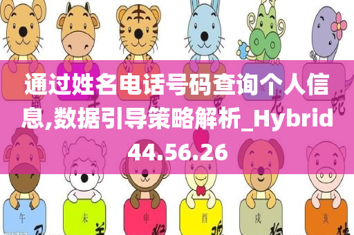 通过姓名电话号码查询个人信息,数据引导策略解析_Hybrid44.56.26