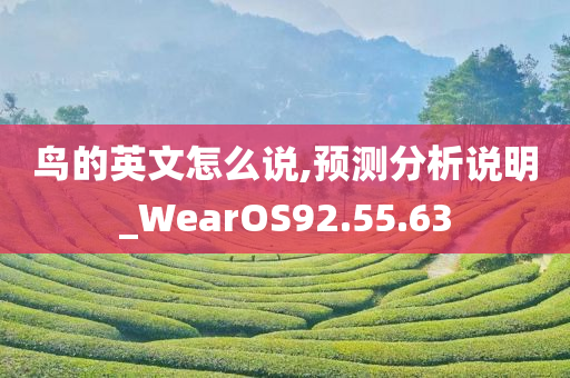 鸟的英文怎么说,预测分析说明_WearOS92.55.63