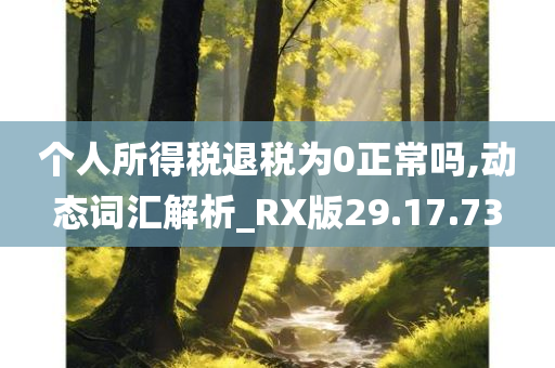 个人所得税退税为0正常吗,动态词汇解析_RX版29.17.73