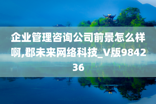 企业管理咨询公司前景怎么样啊,郡未来网络科技_V版984236