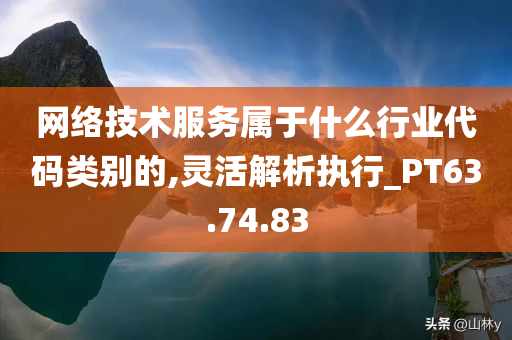 网络技术服务属于什么行业代码类别的,灵活解析执行_PT63.74.83