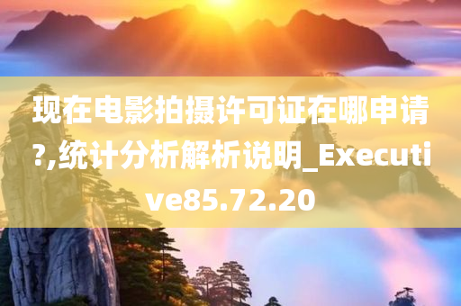 现在电影拍摄许可证在哪申请?,统计分析解析说明_Executive85.72.20