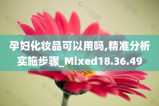 孕妇化妆品可以用吗,精准分析实施步骤_Mixed18.36.49