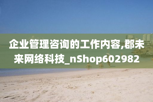 企业管理咨询的工作内容,郡未来网络科技_nShop602982