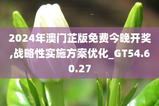 2024年澳门芷版免费今晚开奖,战略性实施方案优化_GT54.60.27