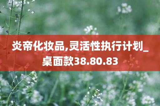 炎帝化妆品,灵活性执行计划_桌面款38.80.83