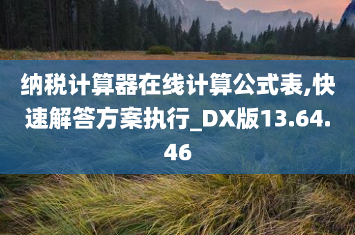 纳税计算器在线计算公式表,快速解答方案执行_DX版13.64.46