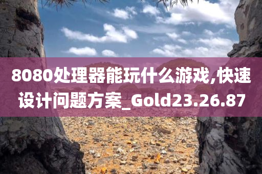 8080处理器能玩什么游戏,快速设计问题方案_Gold23.26.87