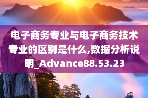 电子商务专业与电子商务技术专业的区别是什么,数据分析说明_Advance88.53.23