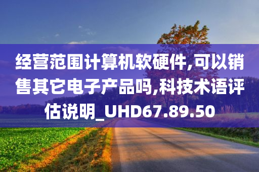 经营范围计算机软硬件,可以销售其它电子产品吗,科技术语评估说明_UHD67.89.50