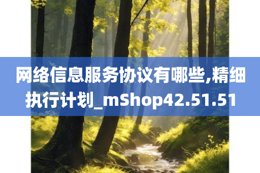 网络信息服务协议有哪些,精细执行计划_mShop42.51.51