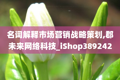 名词解释市场营销战略策划,郡未来网络科技_iShop389242