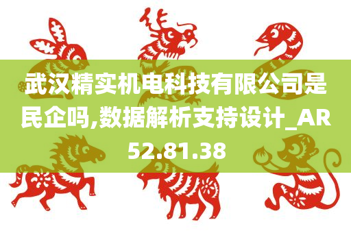 武汉精实机电科技有限公司是民企吗,数据解析支持设计_AR52.81.38