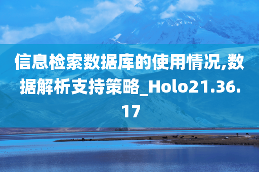 信息检索数据库的使用情况,数据解析支持策略_Holo21.36.17