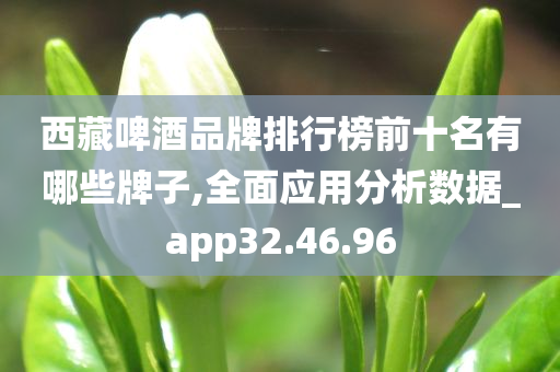 西藏啤酒品牌排行榜前十名有哪些牌子,全面应用分析数据_app32.46.96