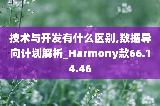 技术与开发有什么区别,数据导向计划解析_Harmony款66.14.46