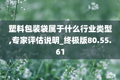 塑料包装袋属于什么行业类型,专家评估说明_终极版80.55.61