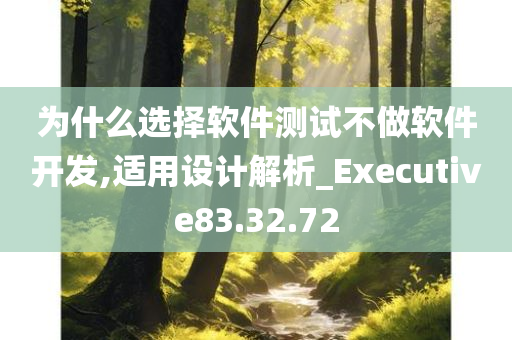 为什么选择软件测试不做软件开发,适用设计解析_Executive83.32.72