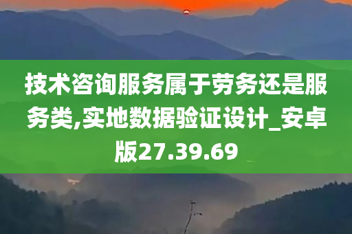 技术咨询服务属于劳务还是服务类,实地数据验证设计_安卓版27.39.69