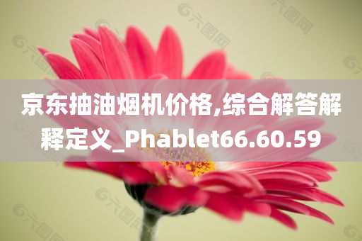 京东抽油烟机价格,综合解答解释定义_Phablet66.60.59