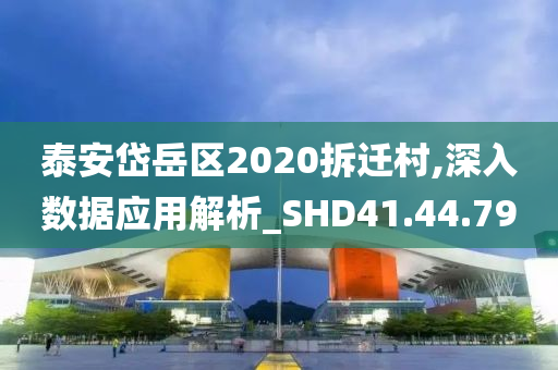 泰安岱岳区2020拆迁村,深入数据应用解析_SHD41.44.79