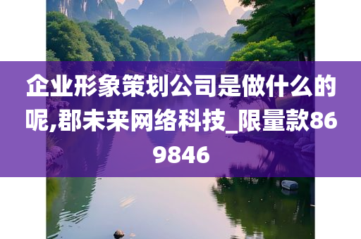 企业形象策划公司是做什么的呢,郡未来网络科技_限量款869846