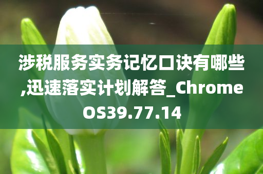 涉税服务实务记忆口诀有哪些,迅速落实计划解答_ChromeOS39.77.14