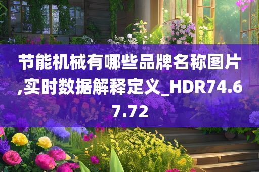 节能机械有哪些品牌名称图片,实时数据解释定义_HDR74.67.72