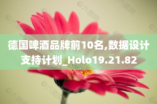 德国啤酒品牌前10名,数据设计支持计划_Holo19.21.82