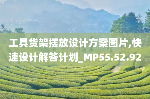 工具货架摆放设计方案图片,快速设计解答计划_MP55.52.92